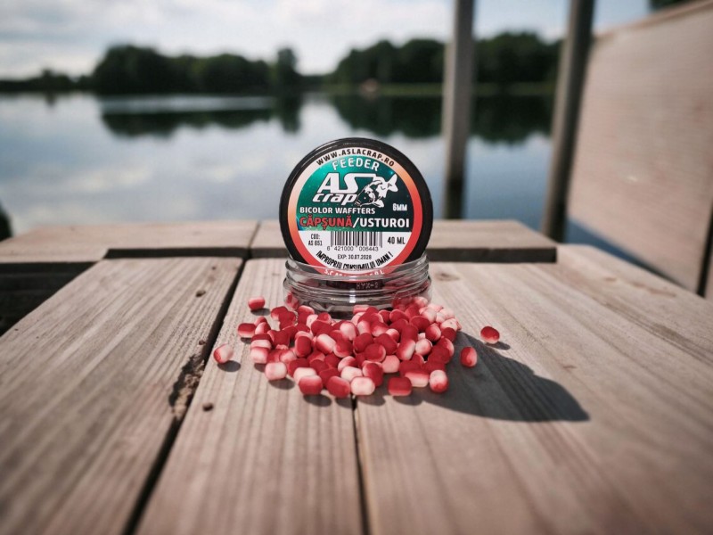 Cdapsuna Usturoi 6mm