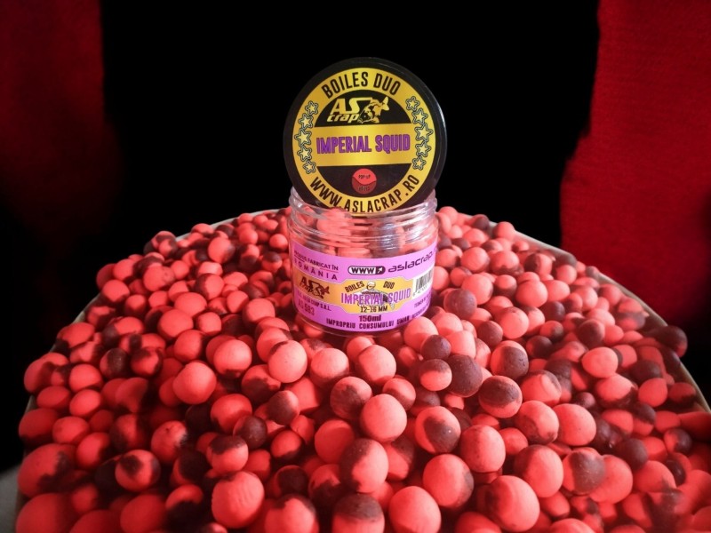 Boiles Duo  Imperial Squid